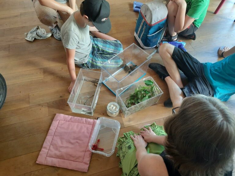 Familiennachmittag – Sea Life zu Gast bei den Sterntalern